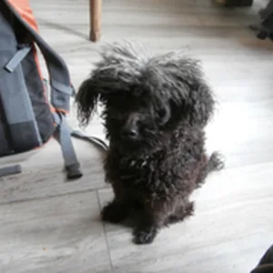 Photo 2