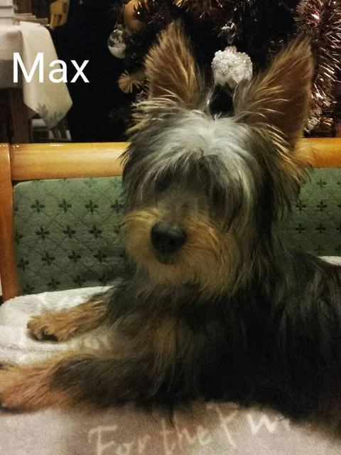 MAX