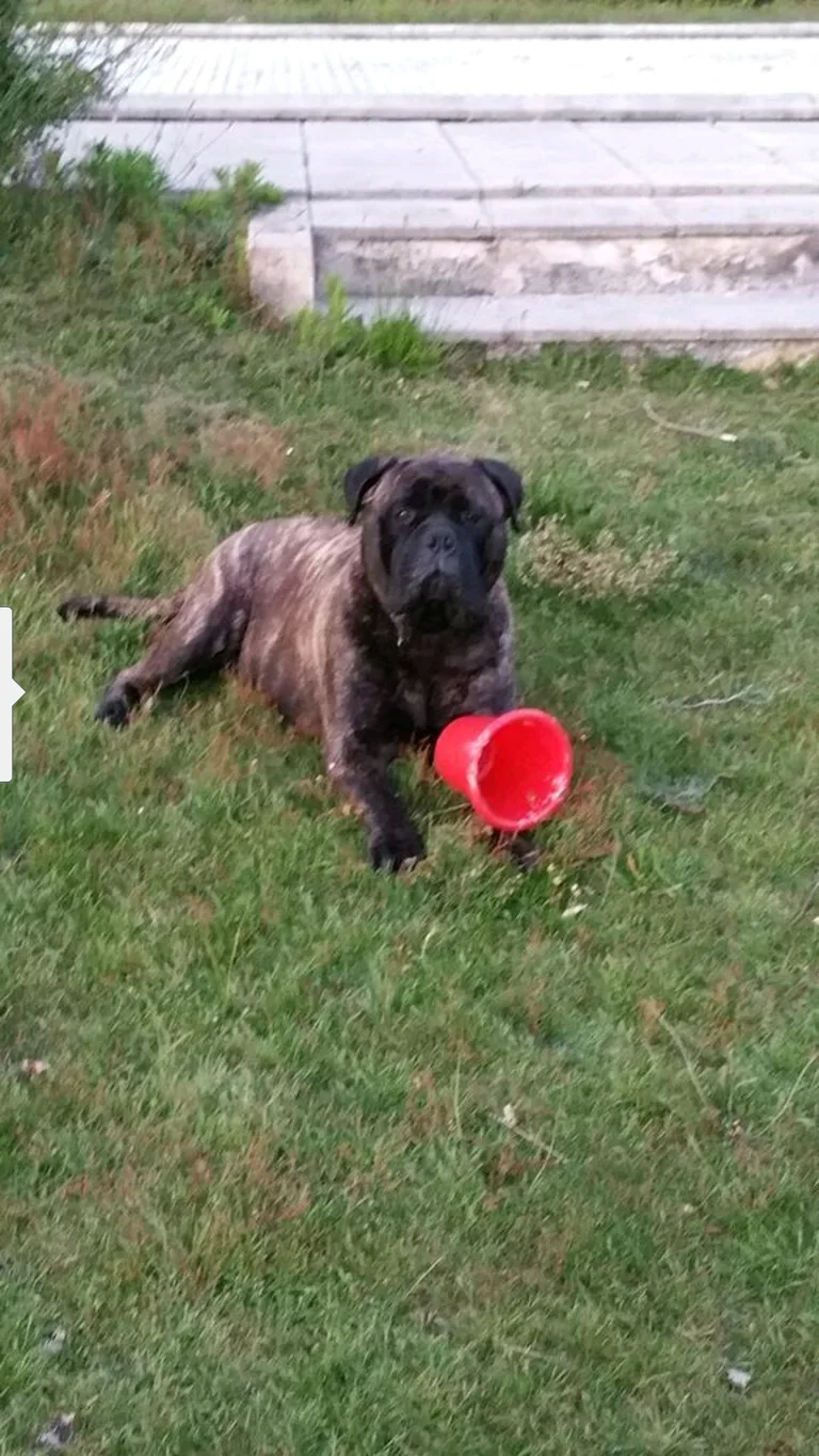 Titan