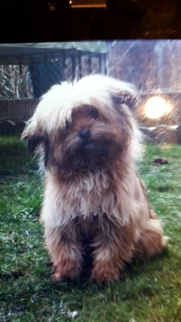 Tobi