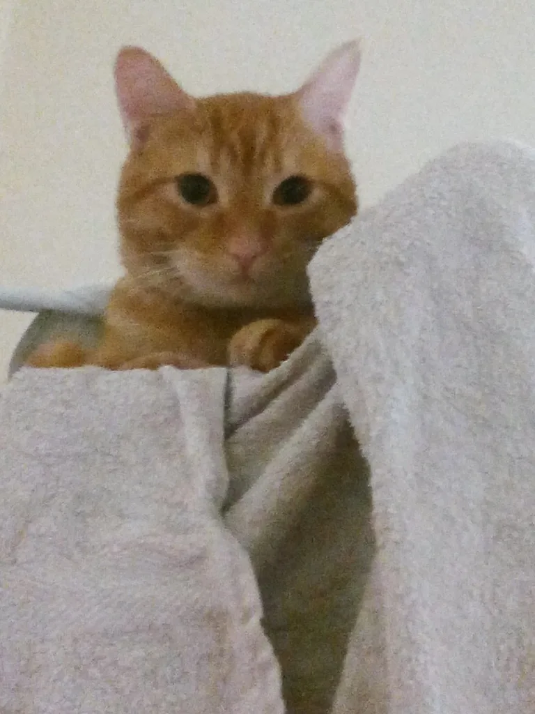 Lenny