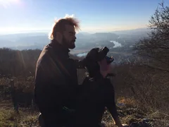 Chien perdu Berger Allemand