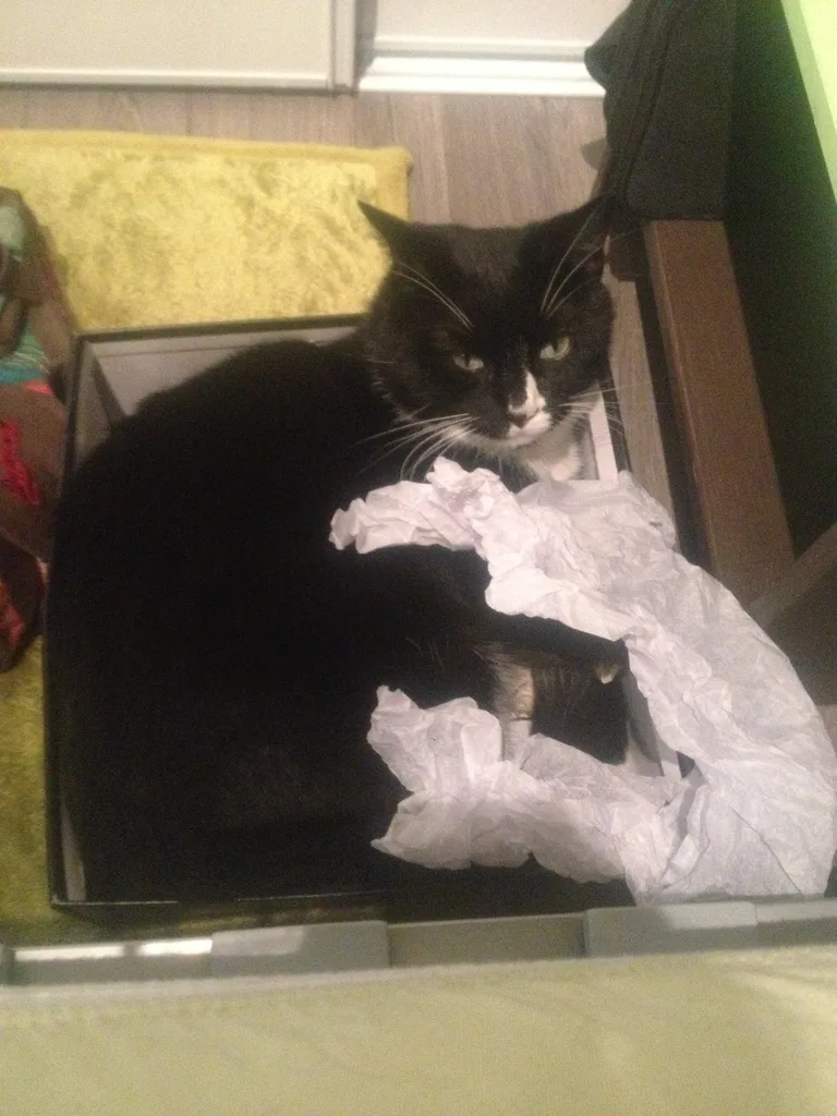 Figaro