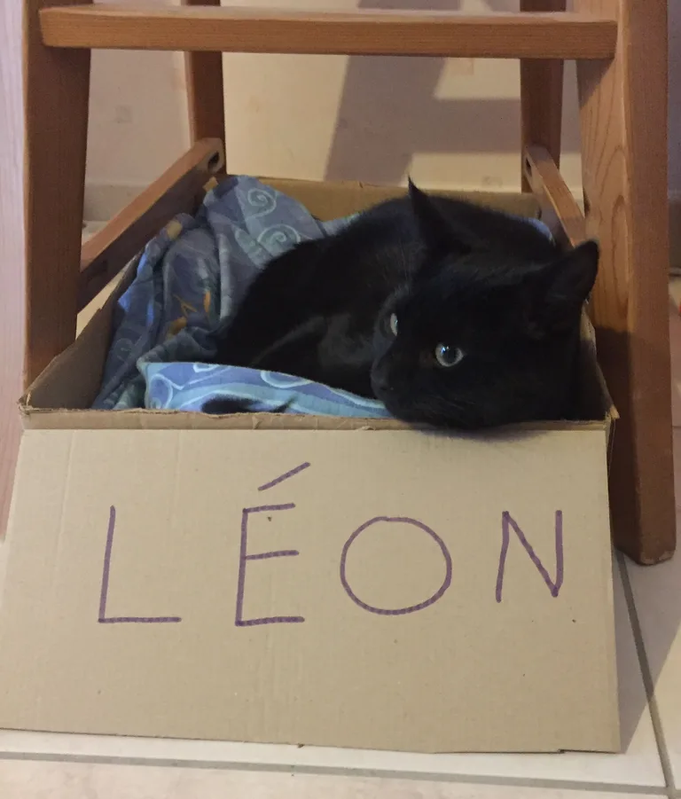 Léon