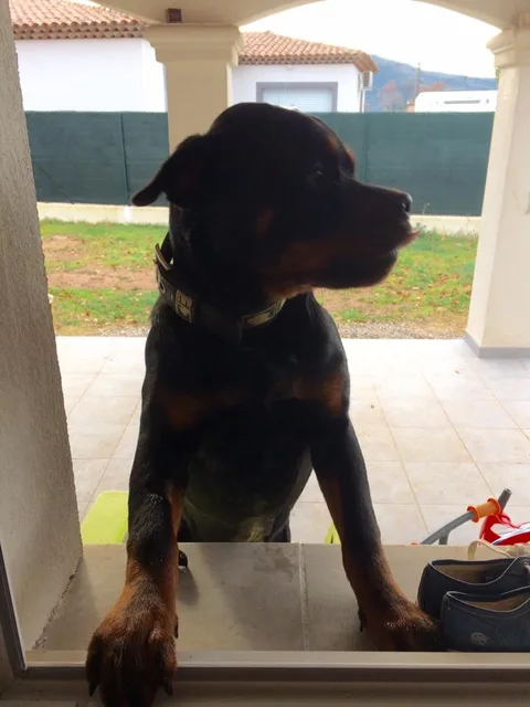 Mayka